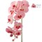 Real Touch Phalaenopsis Orchid Stem: Set of 2, 33.5-Inch, Floral Home by Artificial Flowers